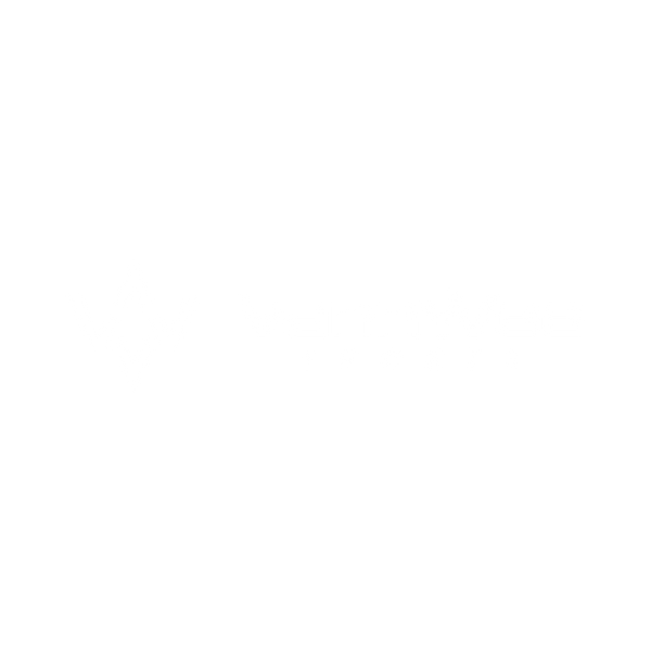 VannyVee Sports